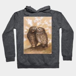 Owls in love Hoodie